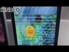 Indoor Digital Signage